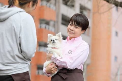 なでしこTOKYO株式会社の仕事画像2
